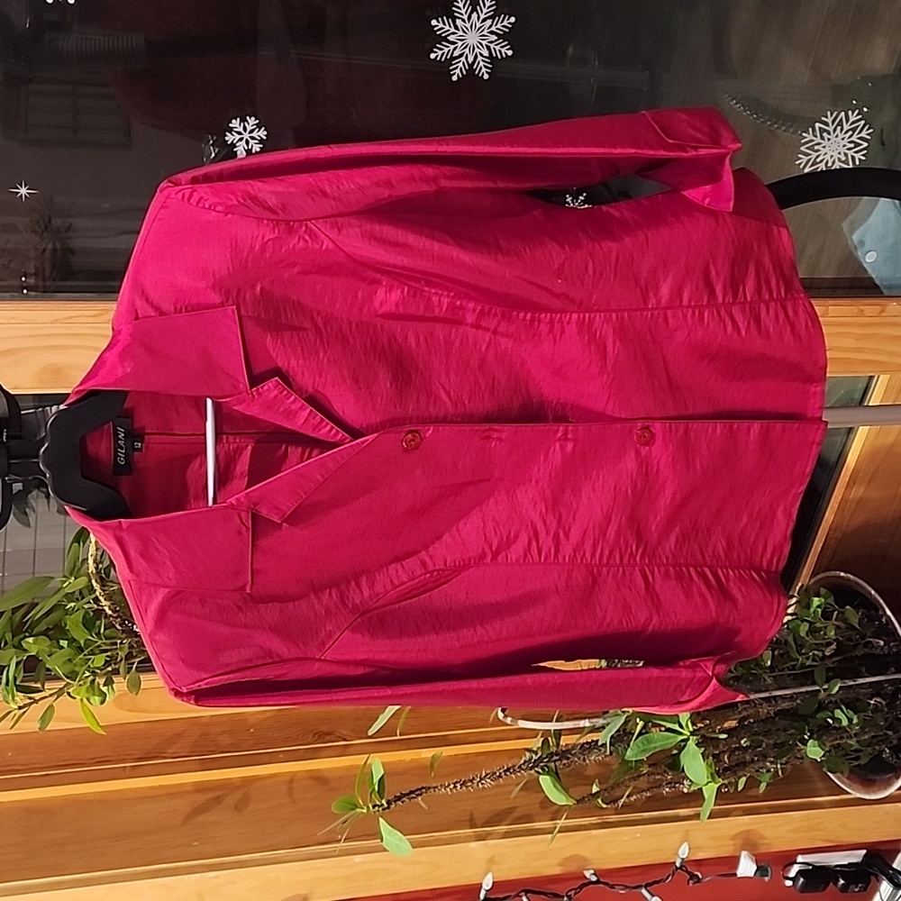 Gilani ladies top. Size 12